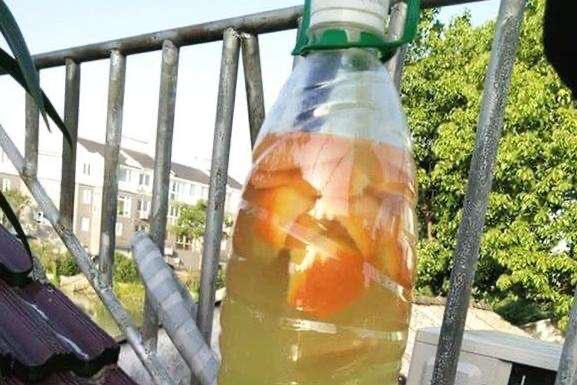 橘子皮养花施什么肥好用,橘子皮肥料适合种菜吗