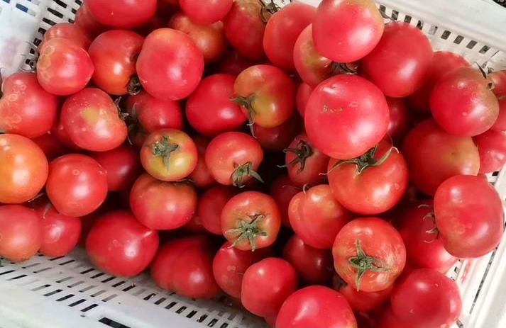 买西红柿的技巧,怎样挑选西红柿才好吃