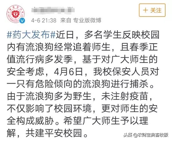 大学宿舍养猪,大学生宿舍养猪事件