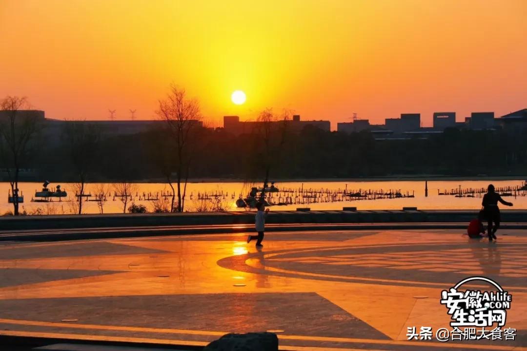 2020年,在这50个地方遇见不一样的合肥