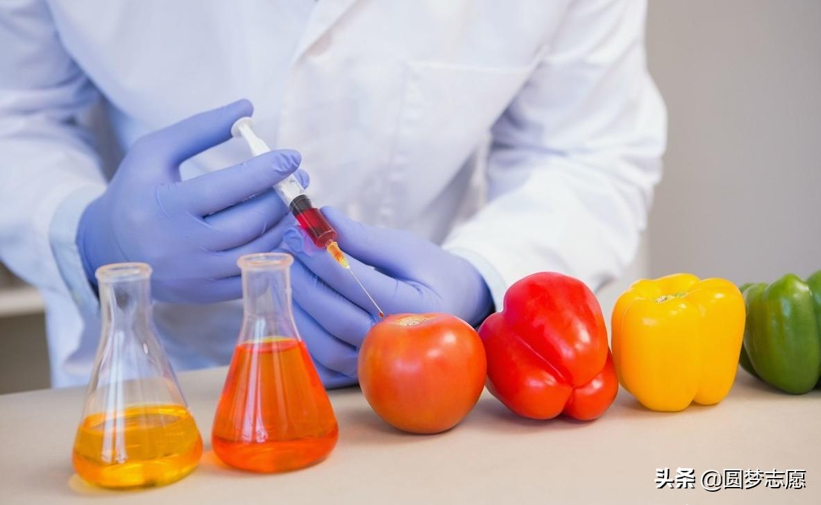 南昌大学专业排名最好的专业,江西南昌大学最厉害的专业