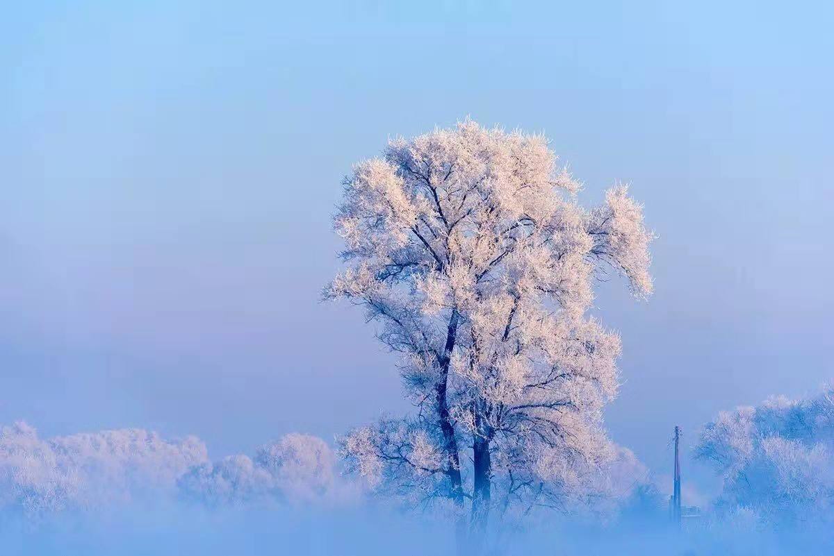 数九歌今年啥时开始数九,数九的第一天你知道数九歌吗