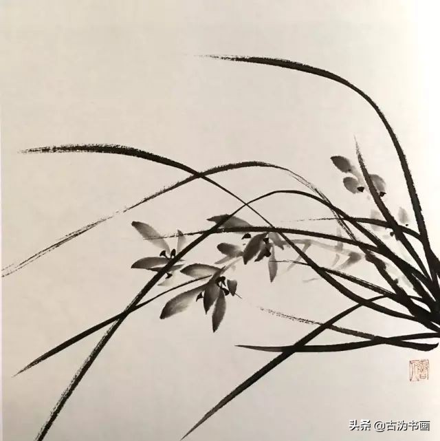 徐湛国画兰花技法教学,国画兰花入门技法