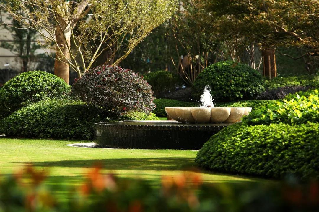 以青蓝之名，新湖重塑上海优雅生活