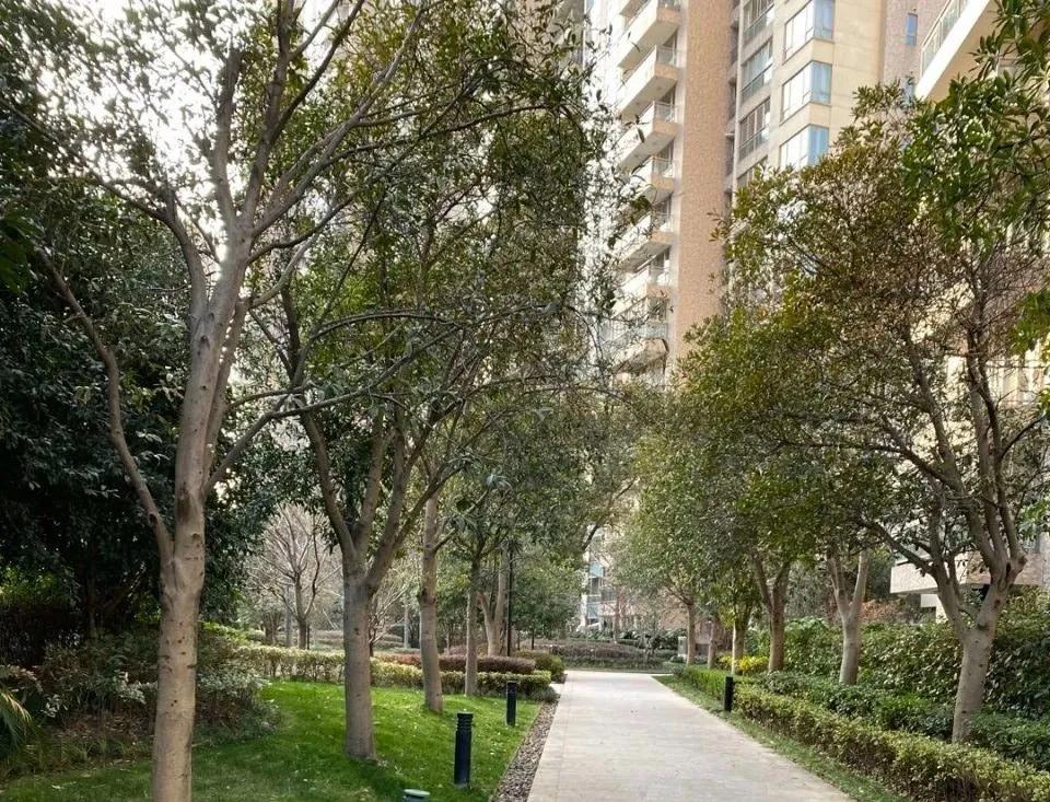 为了便宜的房子买了顶层,为了省钱买了顶楼的房子