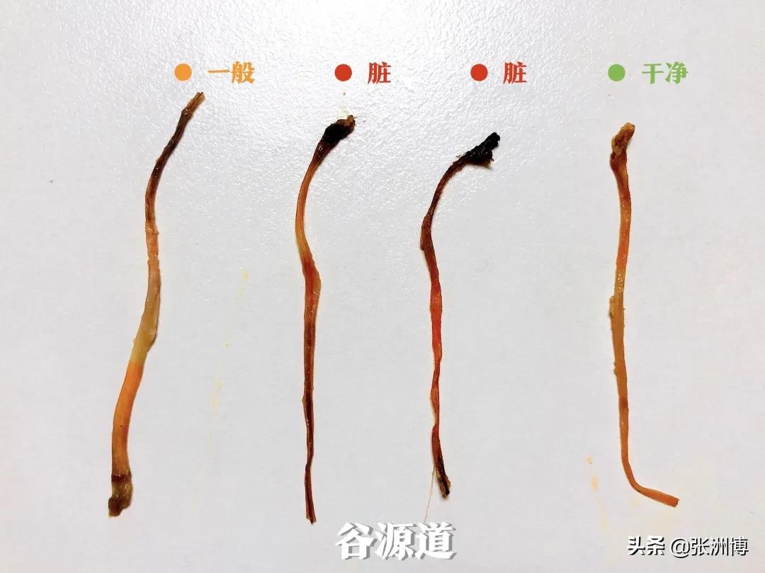 网红红黑榜,今年小龙虾排行榜