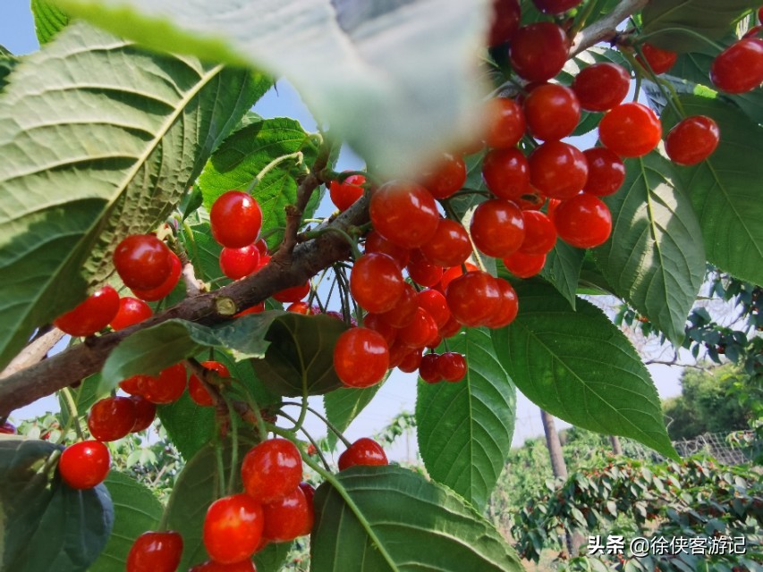 足球小镇有什么项目,足球小镇区游玩攻略