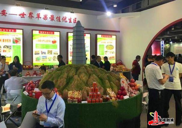 鍔涢噺2020,鍔涢噺2022