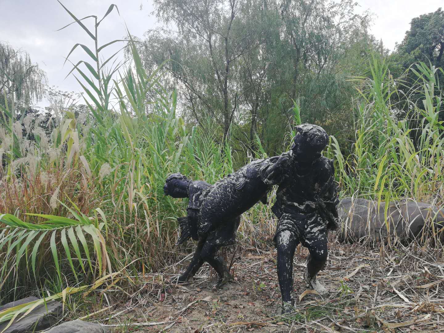 徒步无锡古运河寻找美景,无锡最美沿太湖路线