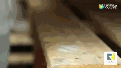 手废了的废的意思,手废了是什么意思