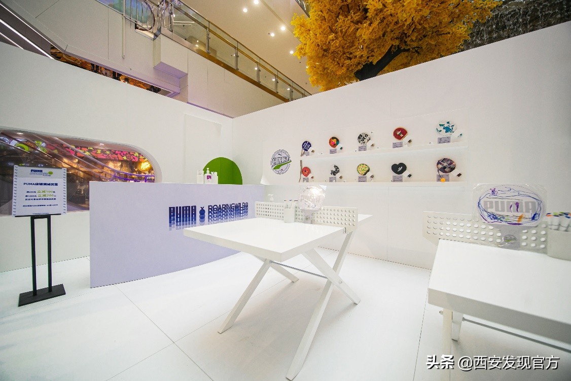 pumaroaringwild绯诲垪,pumaxroaringwild鑱斿悕