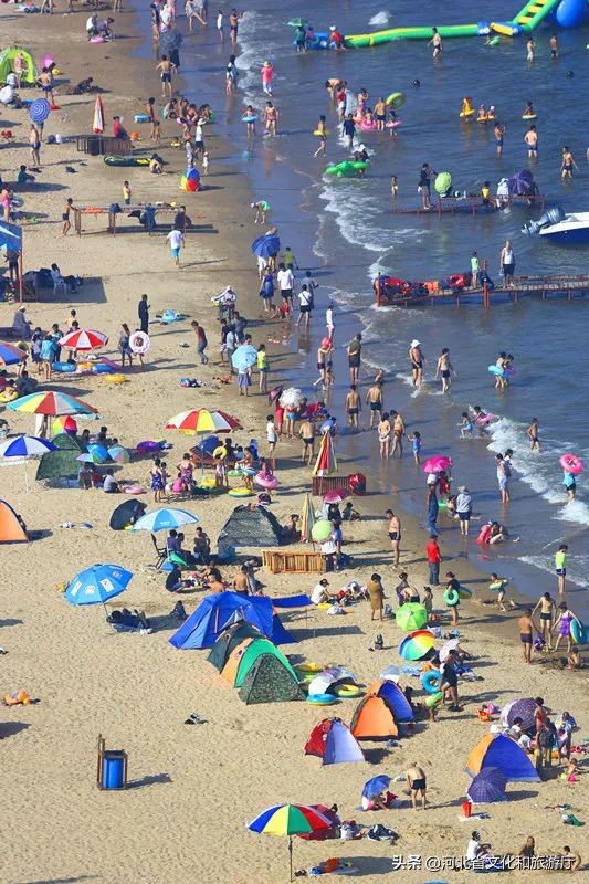 留在秦皇岛,秦皇岛为什么人那么多