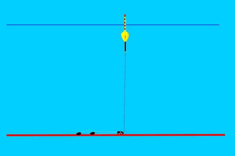 为什么新手钓得到大鱼,新手钓大鱼易跑鱼原因