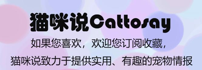 在猫眼里什么颜色是最好看的,在猫眼中什么颜色好看