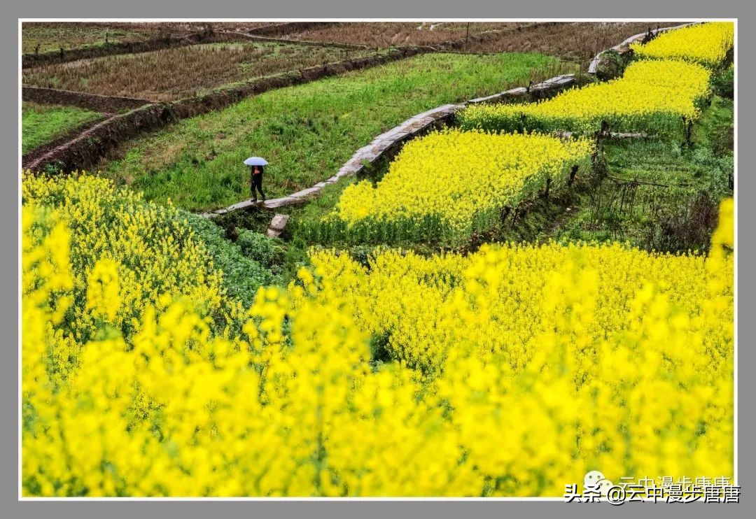 岳池坪滩风景区,行走的风景岳池