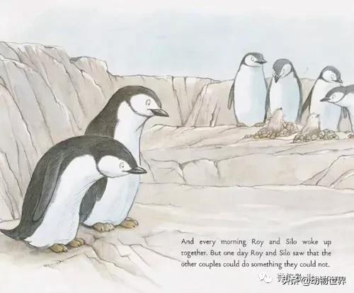 世界各国国宝级动物,世界各地的名贵动物