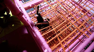 10000平方米蹦床乐园,网红蹦床公园视频