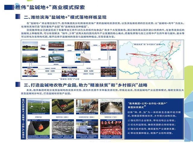 盐碱地养牛经，多产母牛犊六法