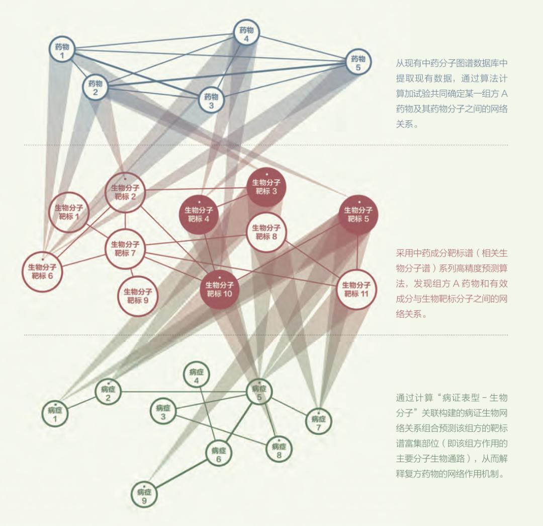 不只是医书带你真正了解本草纲目,盘点不同版本的本草纲目