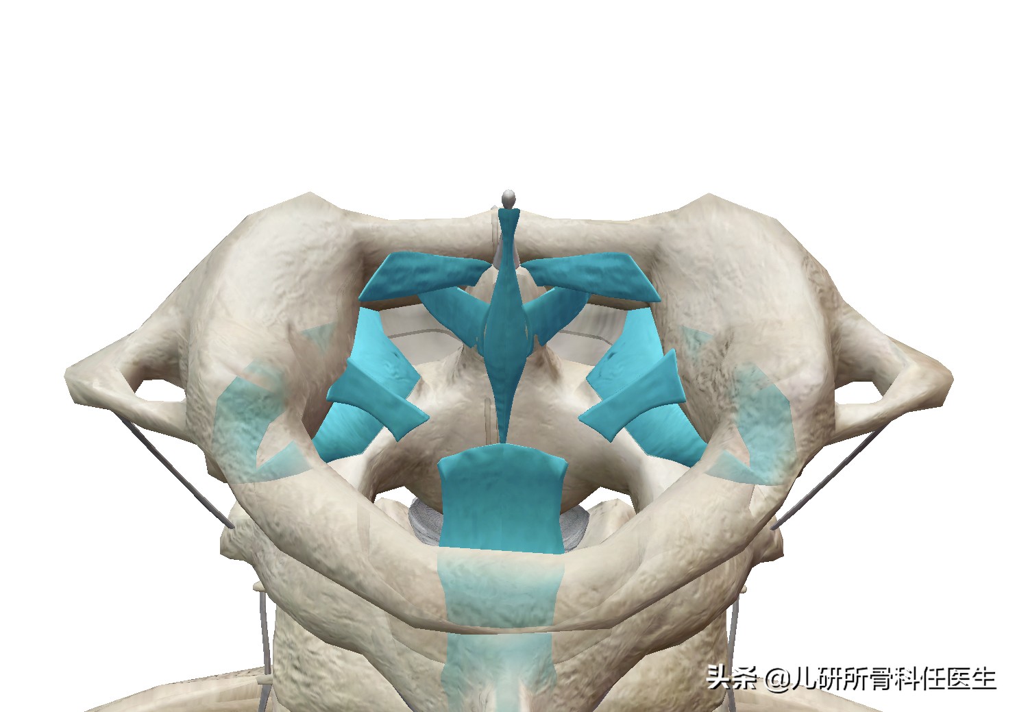 宝宝脖子突然歪了怎么办,小孩脖子落枕了头一直歪着怎么办