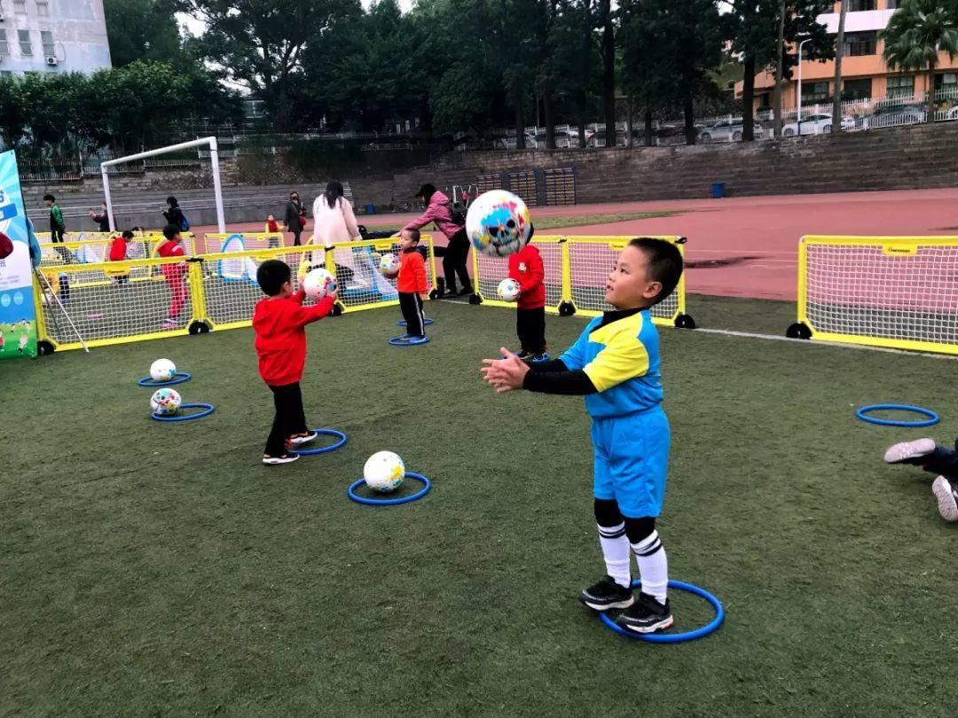 派迪茵体育,派迪茵体育教练团队