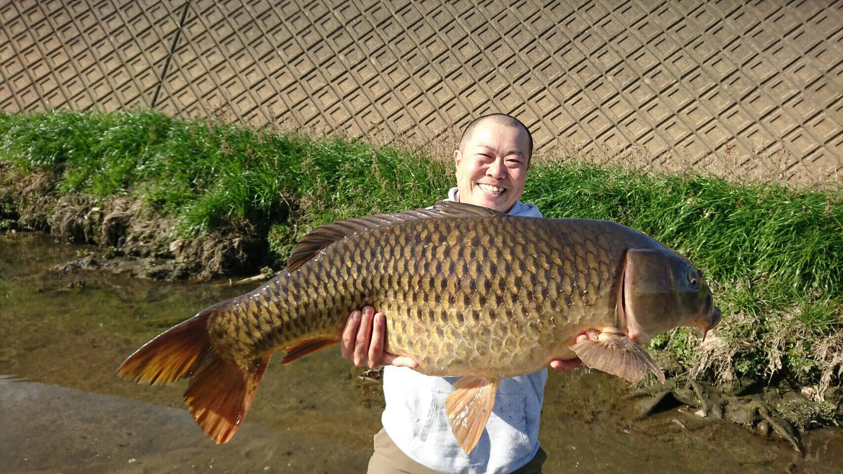 新手钓鱼要搞懂的知识有哪些,给钓鱼初学者说的话