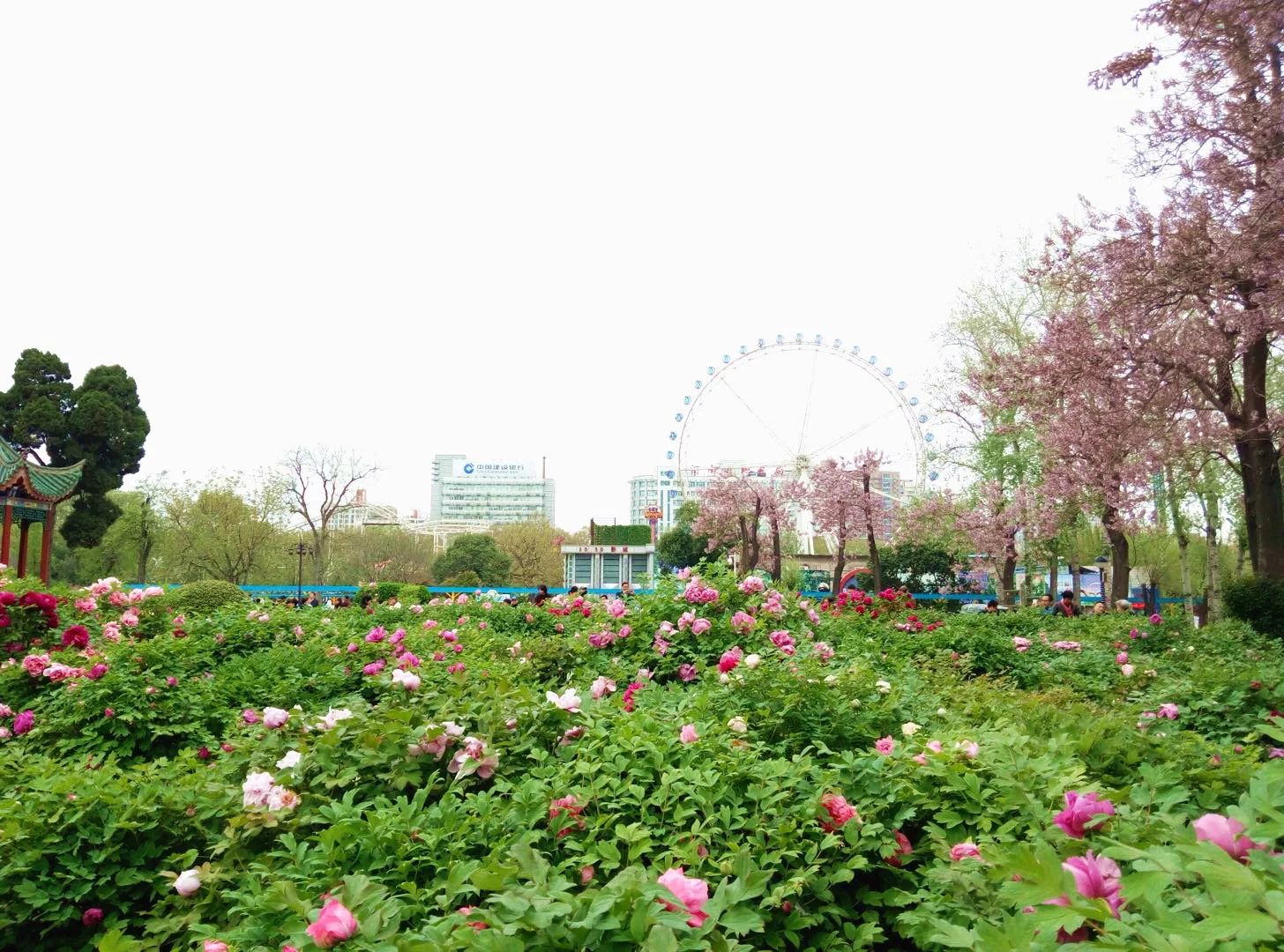 郑州中原区免费运动场地,郑州免费开放的体育场馆名单