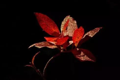 如何用最简单的方法安装ps,ps基础教程新手入门安装包