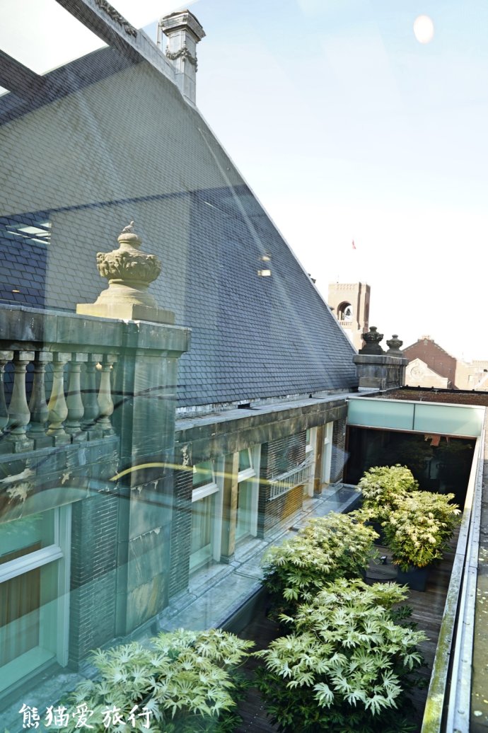 为什么中国人出国旅游买买买,中国人为啥爱去荷兰