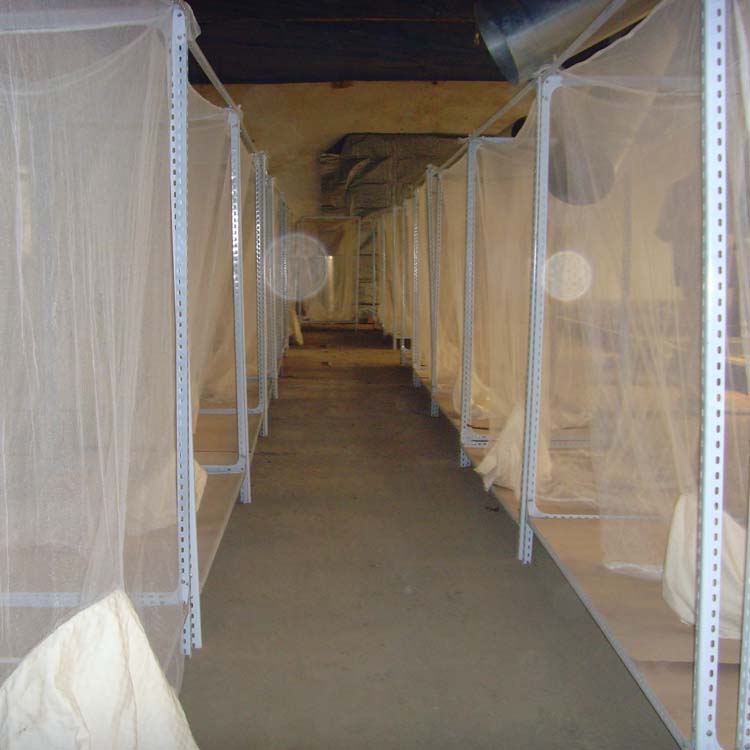 养殖苍蝇致富案例,中国苍蝇养殖第一人