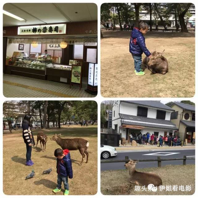 日本大阪京都奈良七日亲子游,带孩子去日本大阪推荐