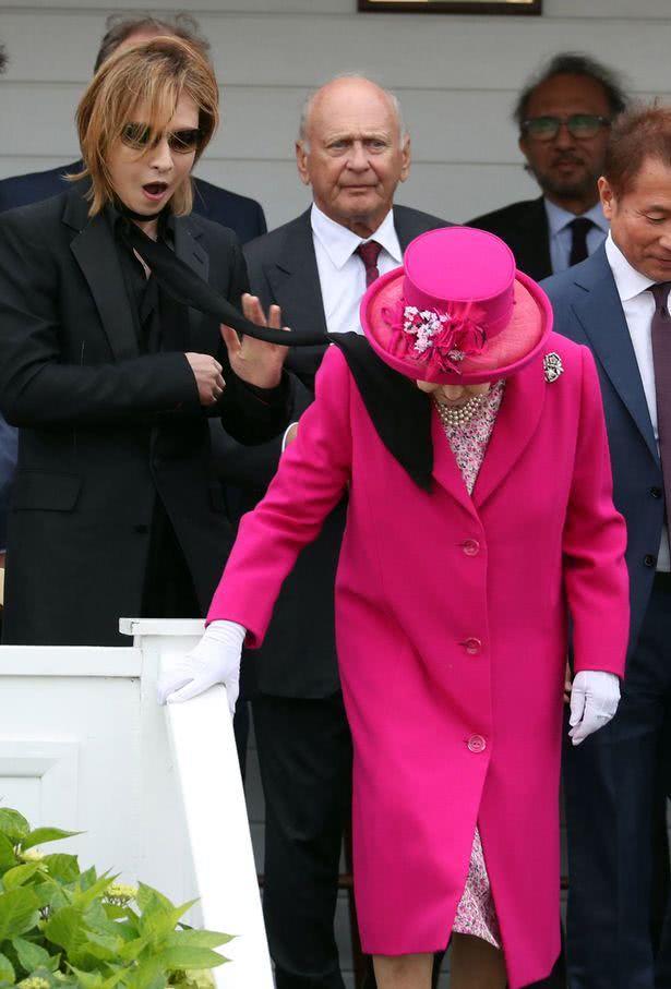 英国王室打马球,马球英国王室