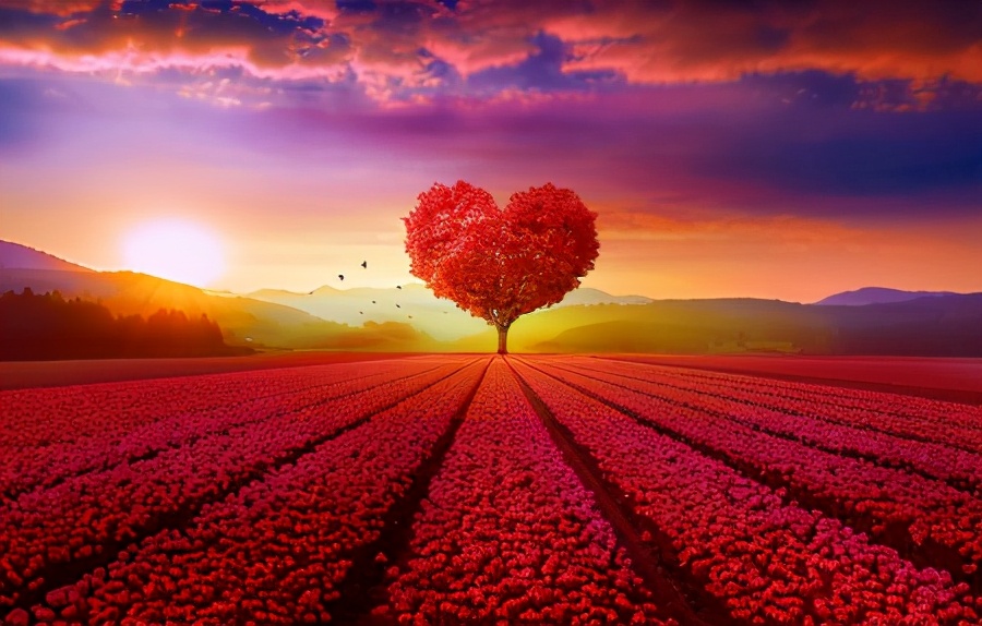 50张顶级绝美风景壁纸,绝美的海边风景图片壁纸