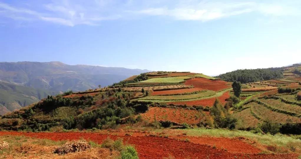 未来昆明发展潜力最大城市,昆明和青岛哪个城市发展潜力大