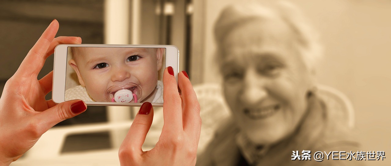 鱼忽然得肠炎，还好早学会了应对办法