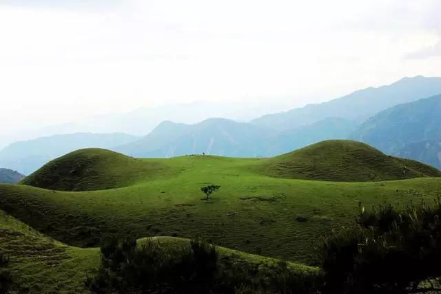 广东草原风景区,广东最美大草原