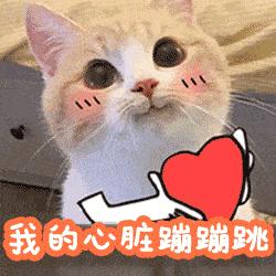 祝铲屎官麻麻节日快乐!毛孩子的行动超暖心了