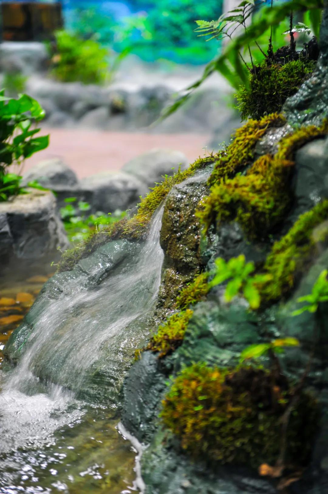 免费！森林物语•虫现江湖，“热带雨林”空降济南！