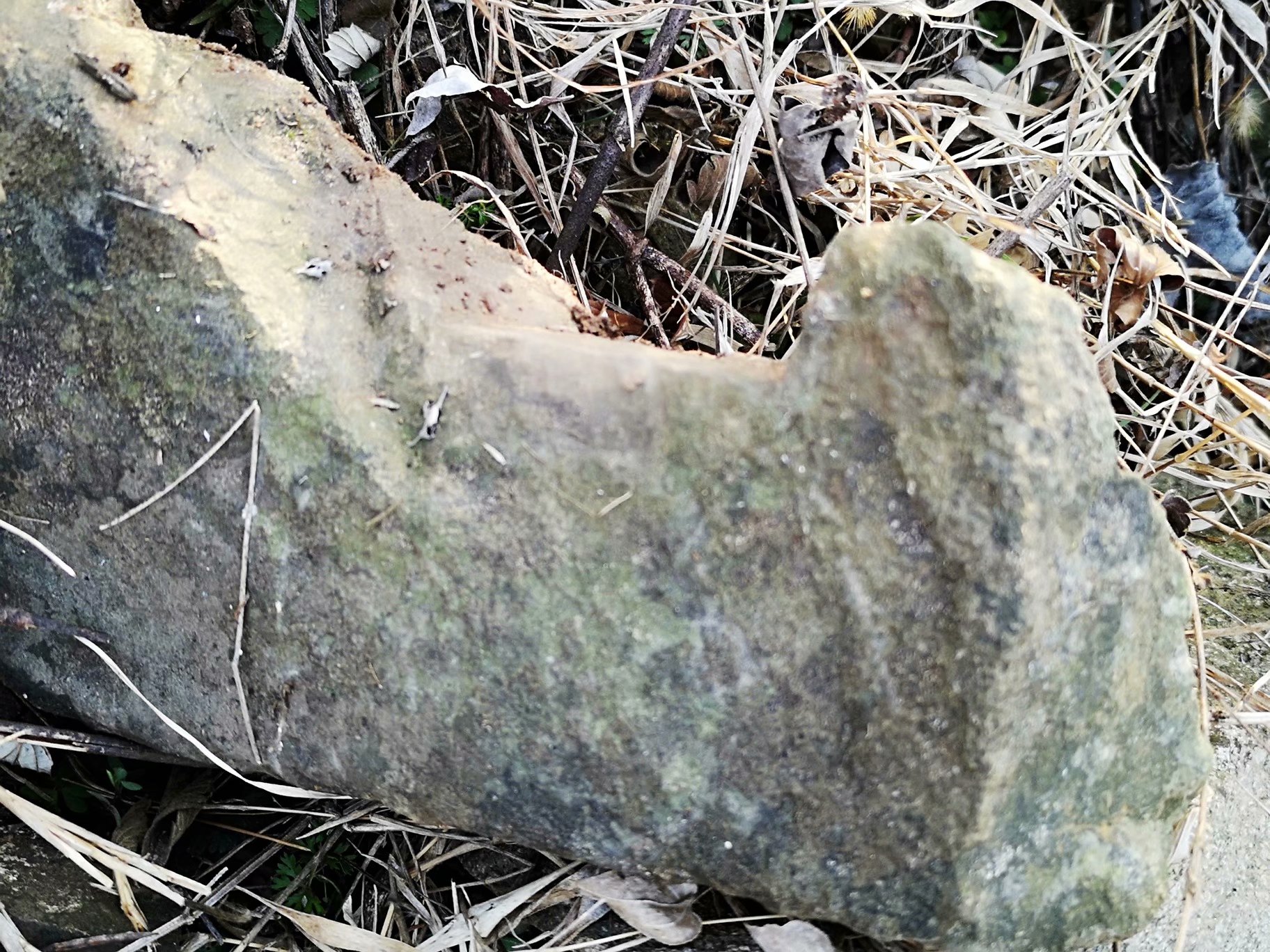 摩托周边旮旯游——探访蚌埠李楼鲁山寺遗址（上）