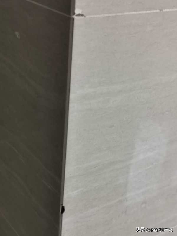 一场由猪队友曝光的建业恶性循环