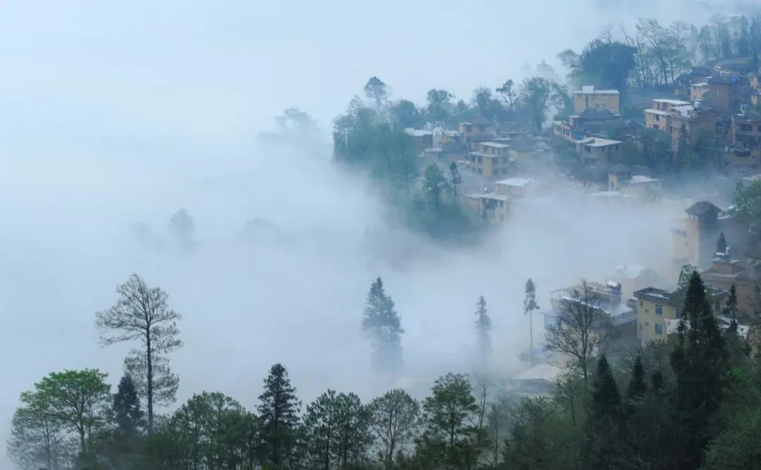 一生必背100首唐诗宋诗,一生必背的50首宋词