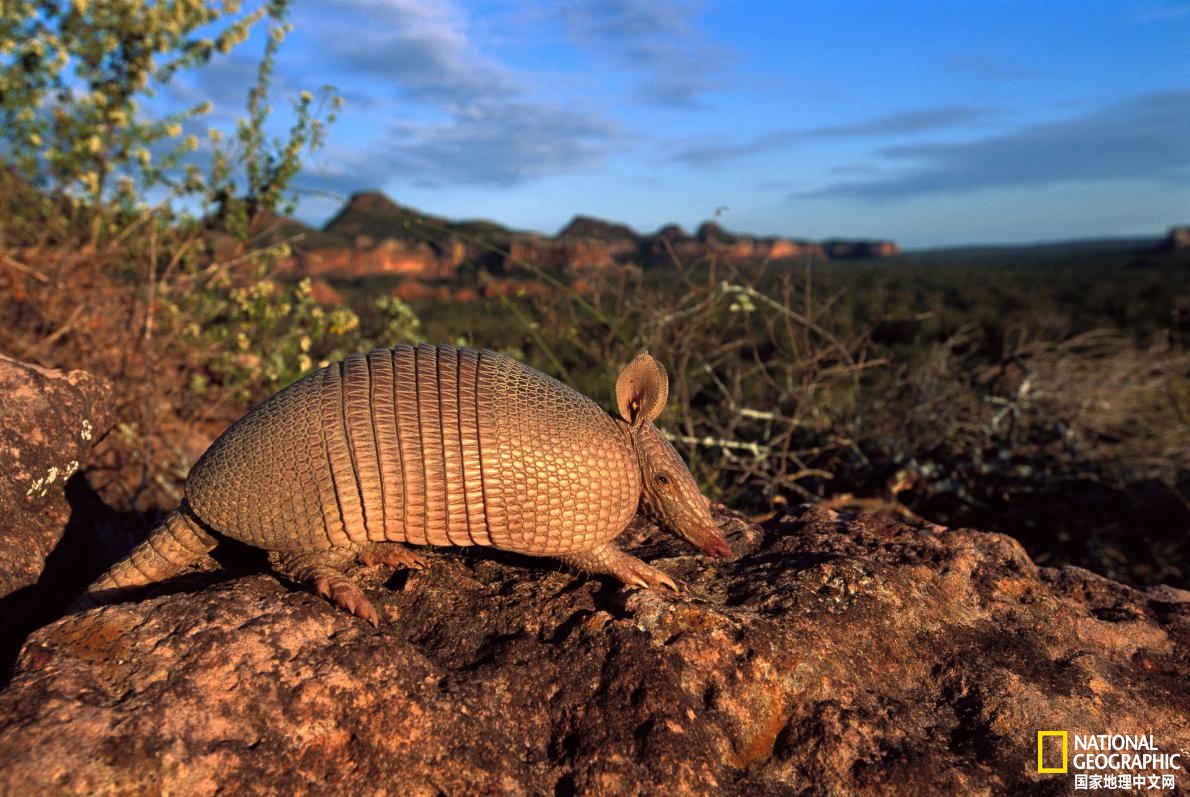 2021年25个全球最佳旅行目的地,2020不可错过的风景