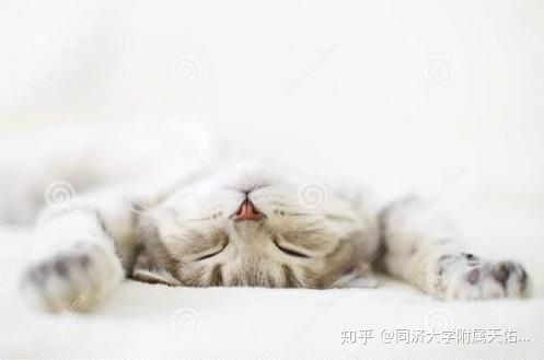 哭完之后头疼缓解6个小妙招,头疼按哪里可以缓解头疼