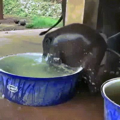 口里叫着宝贝心里一点波澜都没有,嘴里天天叫着小宝贝