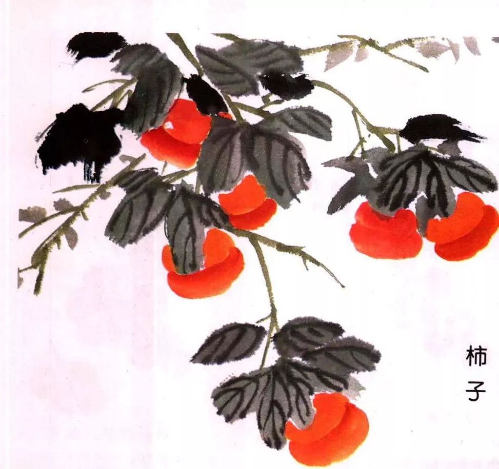 写意柿子叶的画法步骤图,徐湛写意柿子的画法