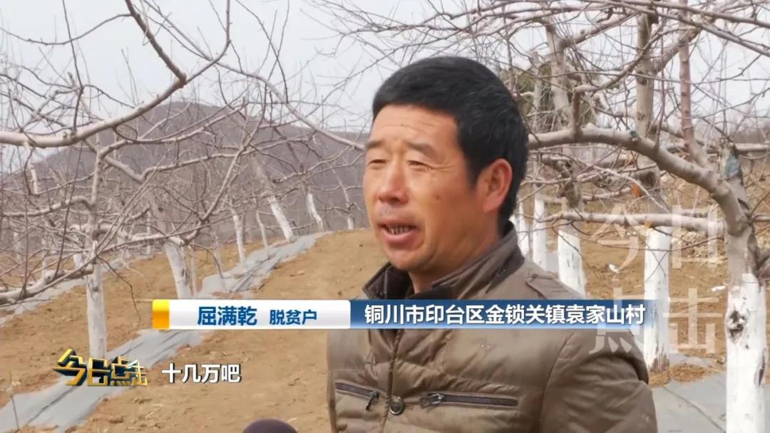 铜川印台脱贫攻坚,铜川印台区脱贫户