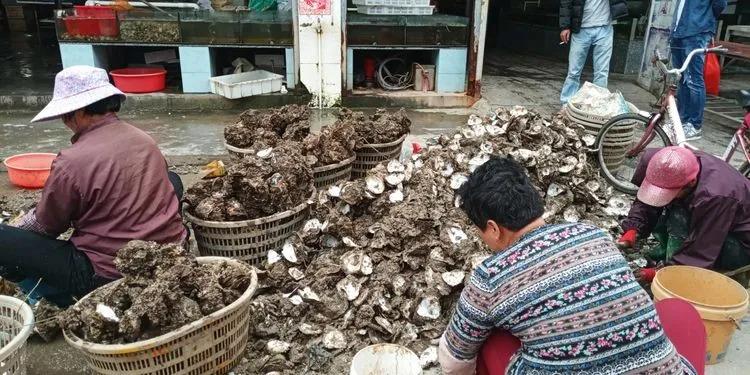 浣犲涔呮病鍘绘捣杈瑰害鍋囦簡,浣犲涔呮病鏈夊嚭闂ㄦ梾娓镐簡