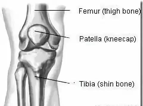 如何彻底根治膝盖病,膝盖最快的恢复法
