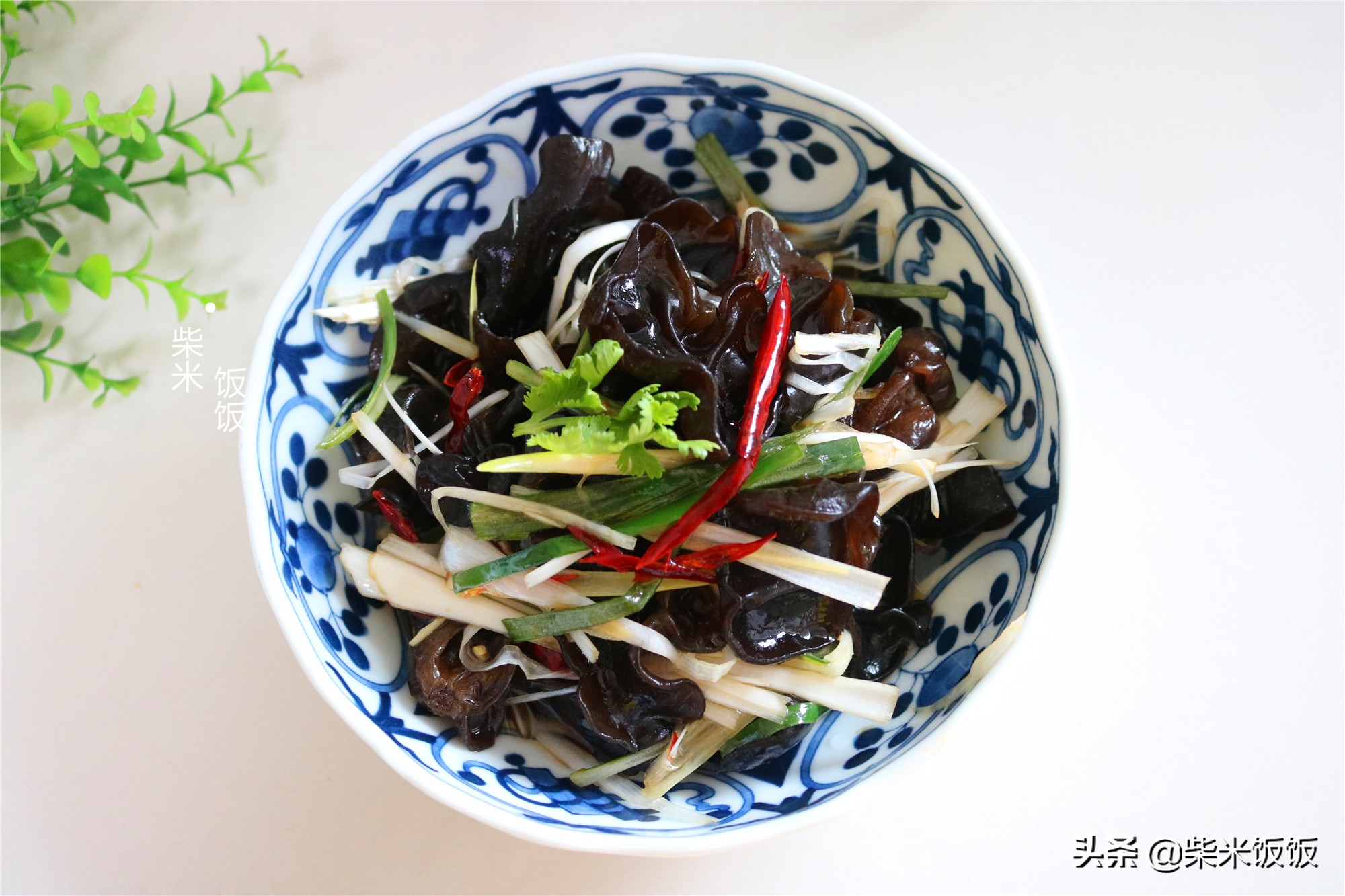 木耳除了炒肉和凉拌还可以怎么做,苦瓜洋葱木耳绝配