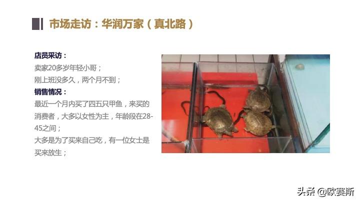 欧赛斯带你全方位洞察甲鱼市场发展趋势及竞争格局